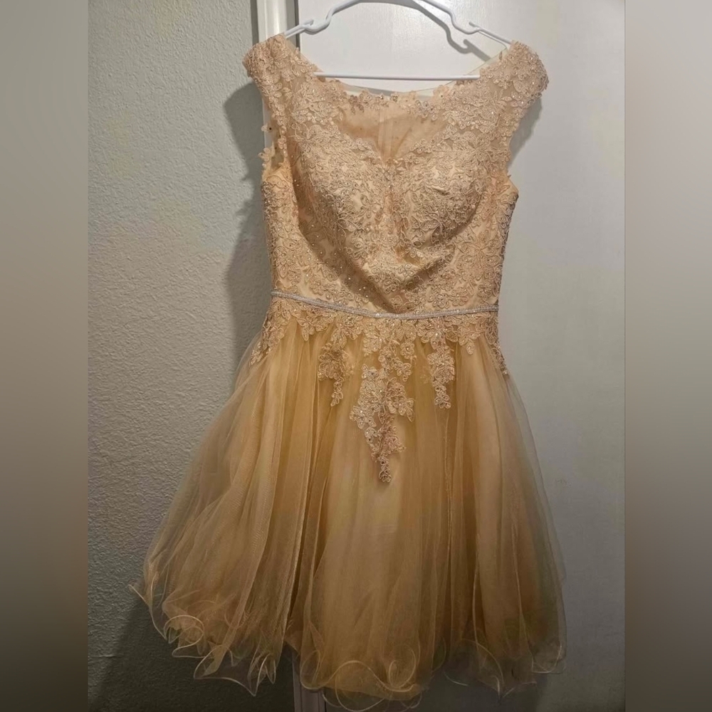 Mori Lee Champagne/Cream Lace Prom/Quinceañera Dress